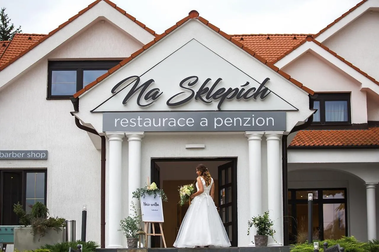 Guest house Penzion Na Sklepich Chrudim